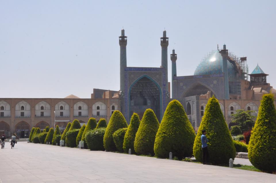 13055567_10153464969795825_1986422415392860324_n