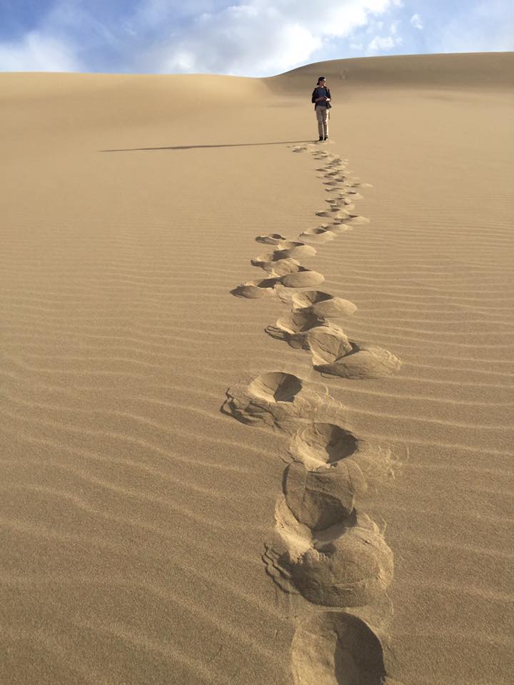 13082753_10153464969895825_1327353019874674431_n