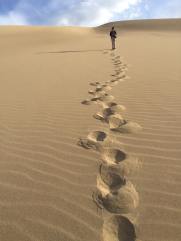 13082753_10153464969895825_1327353019874674431_n