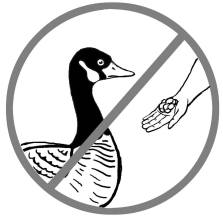 252337_10152833182320214_108350537_n