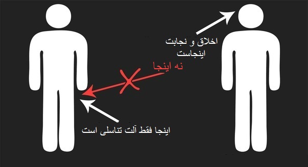 نجابت در چه معنی میشود؟